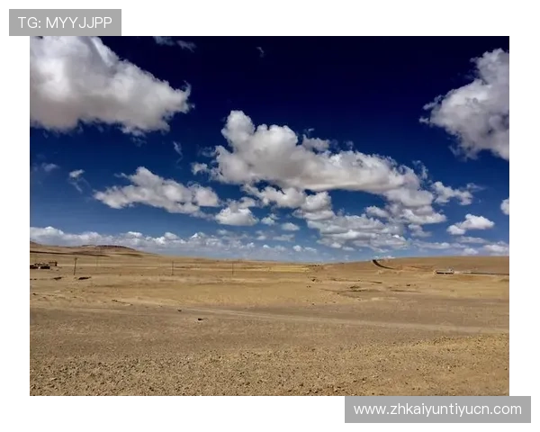 开云官网88购物流程与订单跟踪操作步骤全攻略