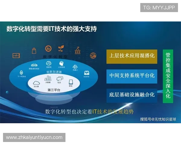 开云平台成功案例分析：如何实现游戏行业的数字化转型与创新发展